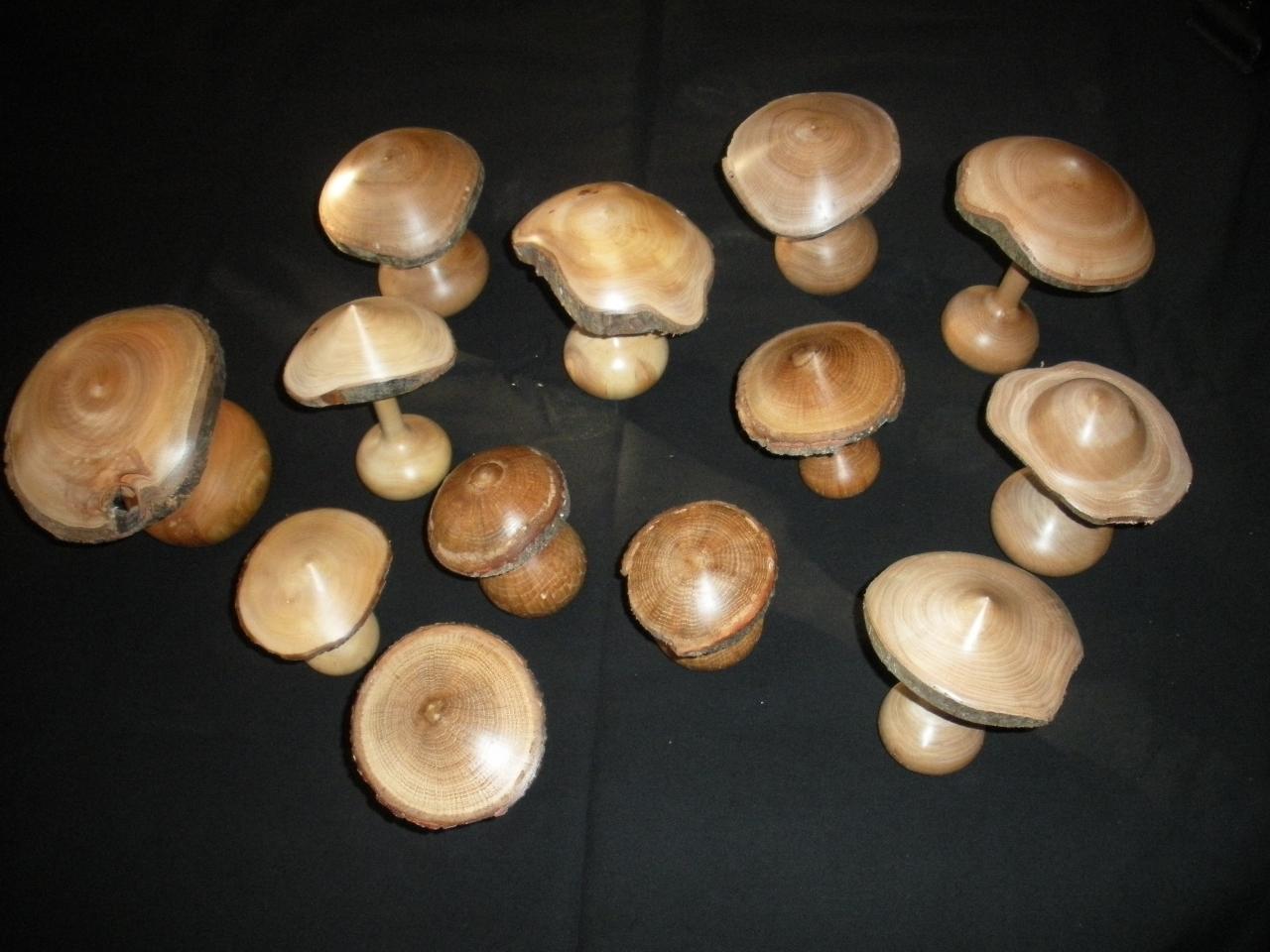 champignons