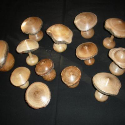 champignons